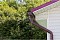 Тройник трубы Grand Line,90 мм RAL 3005 красное вино